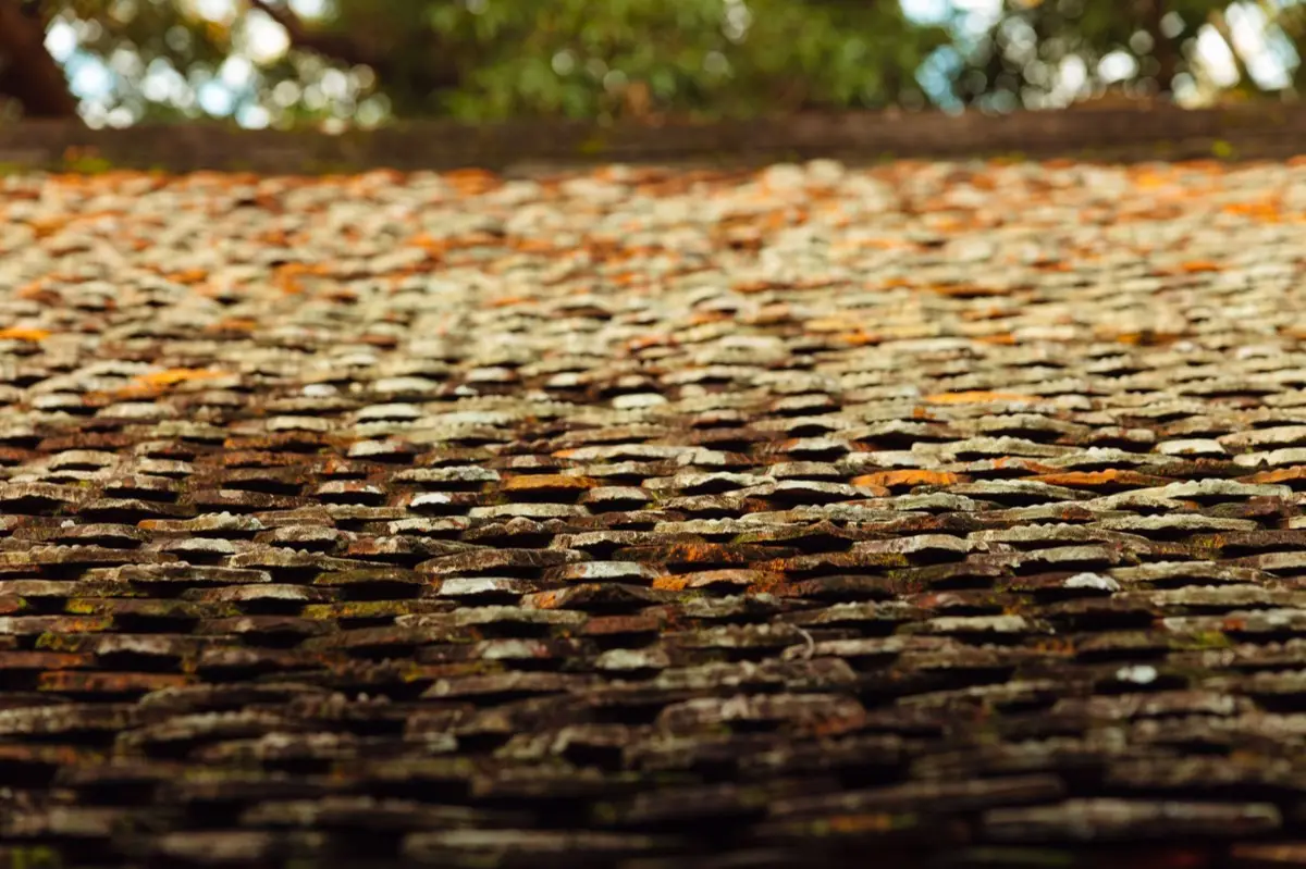 Aging shingle roof with moss growth and granule loss in Birmingham, AL